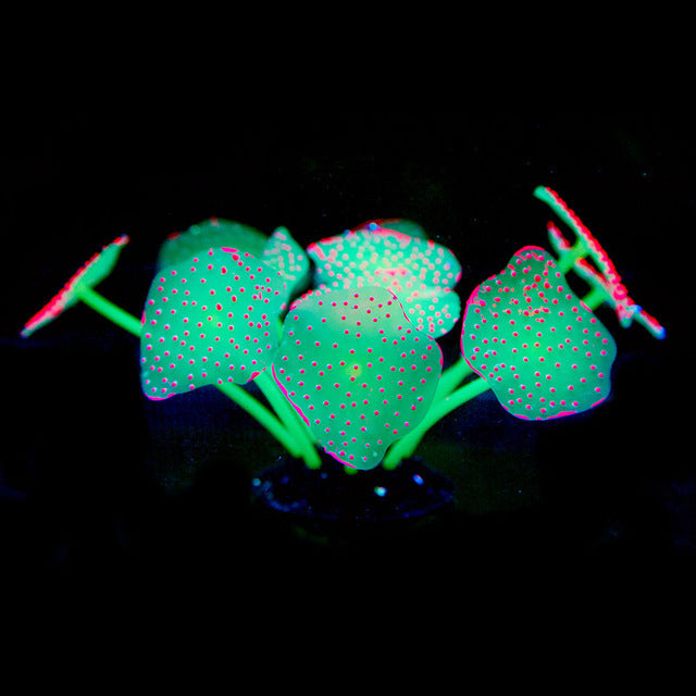 Silica Gel Aquarium For Artificial Aquarium Coral Plants