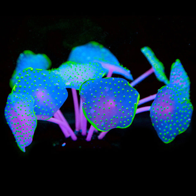 Silica Gel Aquarium For Artificial Aquarium Coral Plants