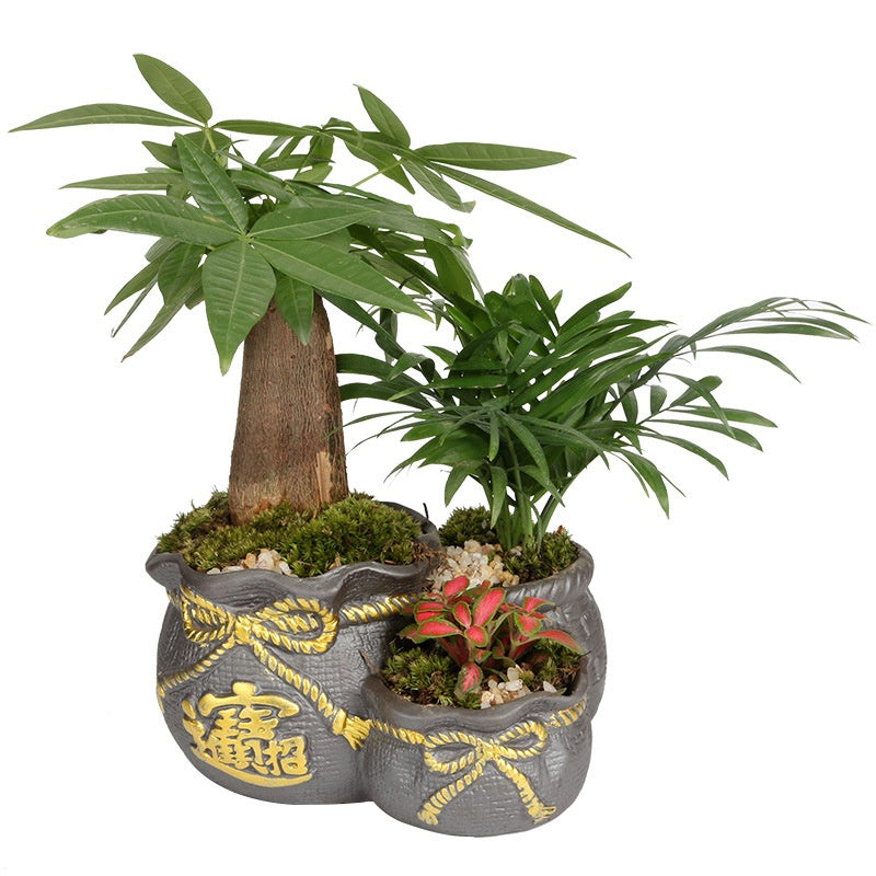 Indoor Black Purple Sand Orchid Pots High Leg Succulent Plant Ceramic