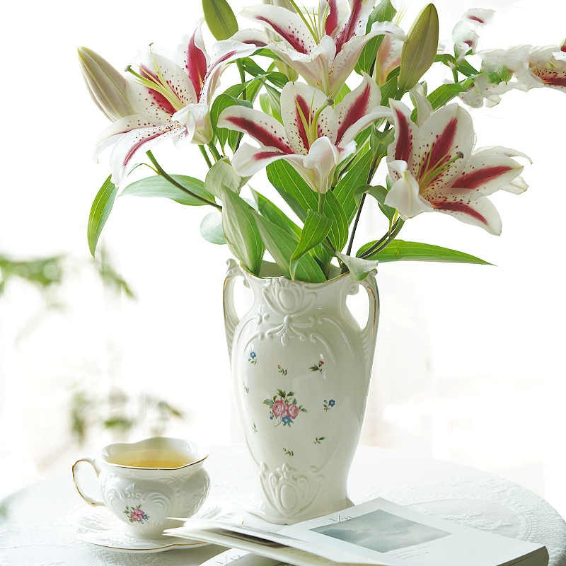 Flower Vases Can Be Used For Hydroponic Arrangements